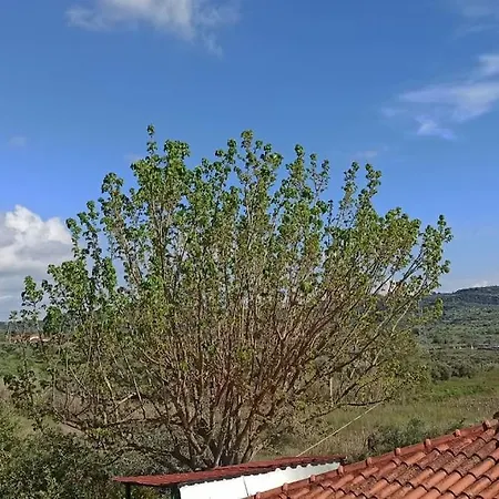 Apartment In Greek Nature