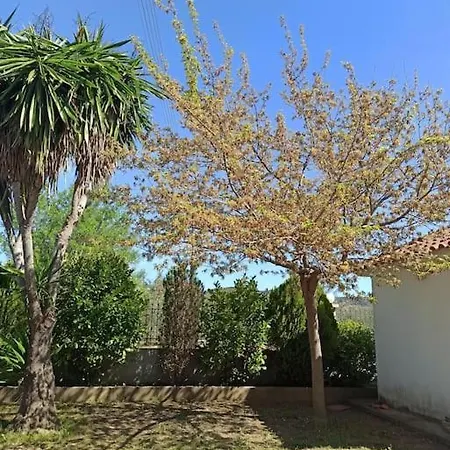 In Greek Nature